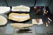 museum fur naturkunde berlin 5-2025 1378